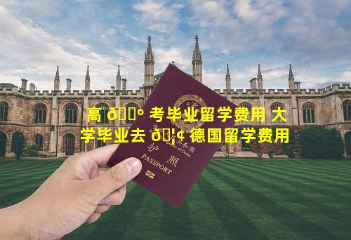 高 🌺 考毕业留学费用 大学毕业去 🦢 德国留学费用
